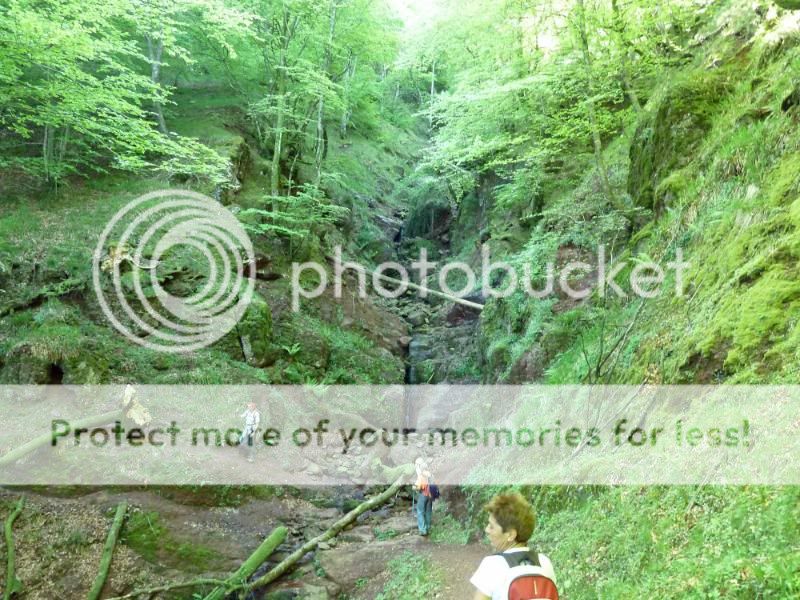 Photo Sharing and otobucVideo Hosting at Phket