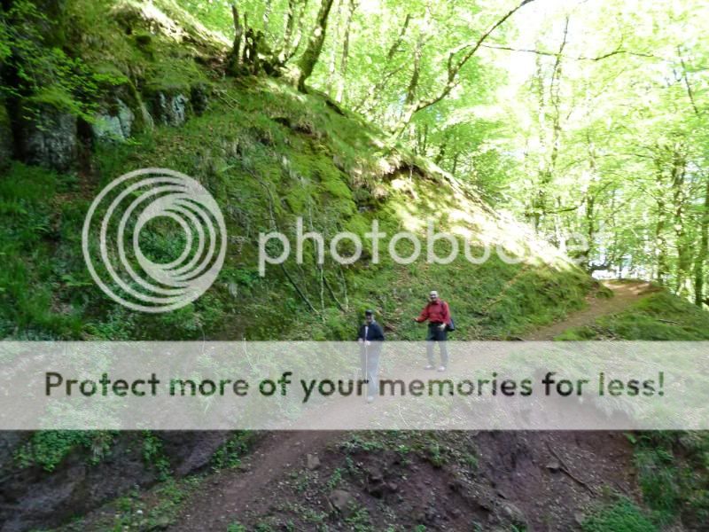 Photo Sharing and otobucVideo Hosting at Phket
