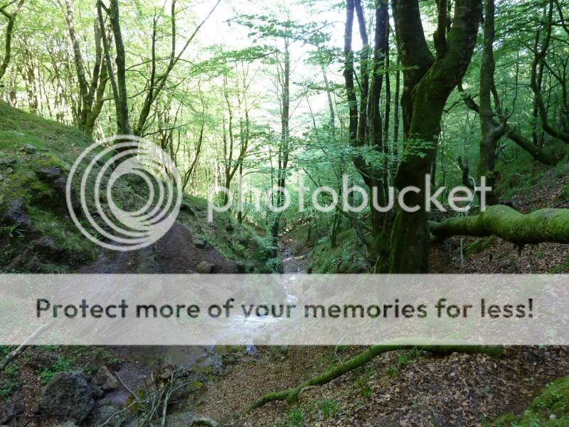 Photo Sharing and otobucVideo Hosting at Phket