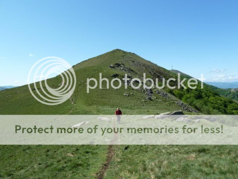 Photo Sharing and otobucVideo Hosting at Phket