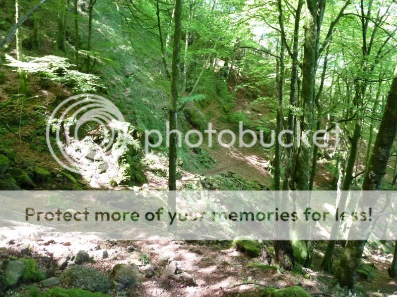 Photo Sharing and otobucVideo Hosting at Phket