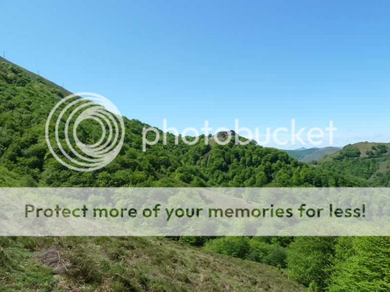 Photo Sharing and otobucVideo Hosting at Phket