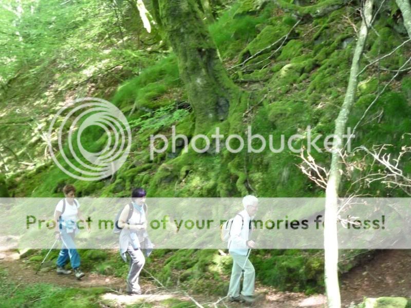 Photo Sharing and otobucVideo Hosting at Phket