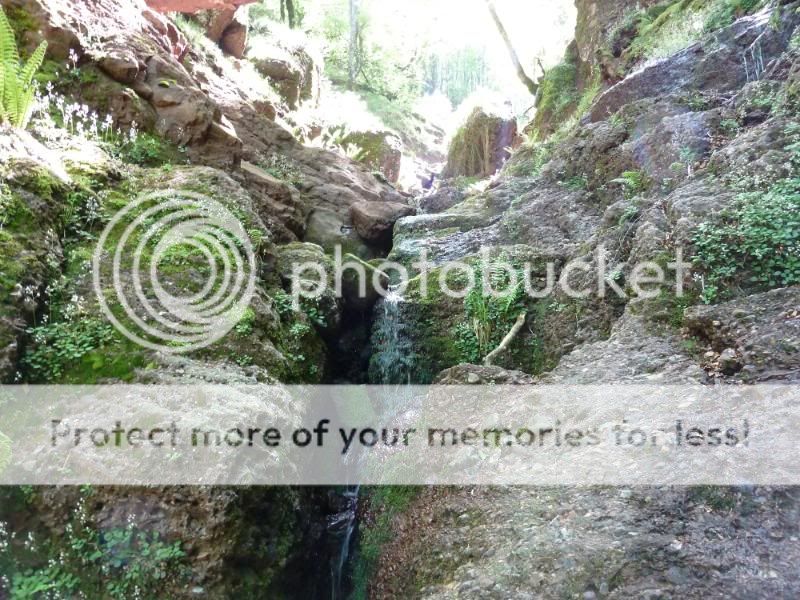 Photo Sharing and otobucVideo Hosting at Phket