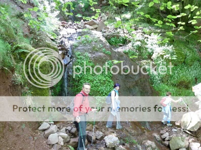 Photo Sharing and otobucVideo Hosting at Phket