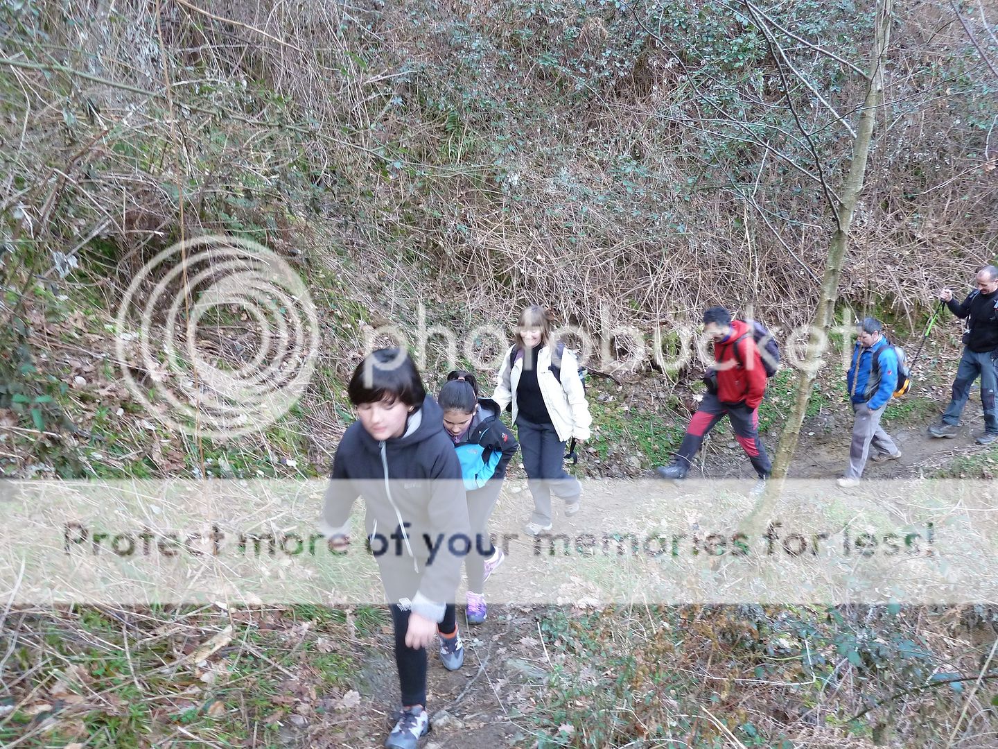 Photo Sharing and Video Hosting at Photobucket