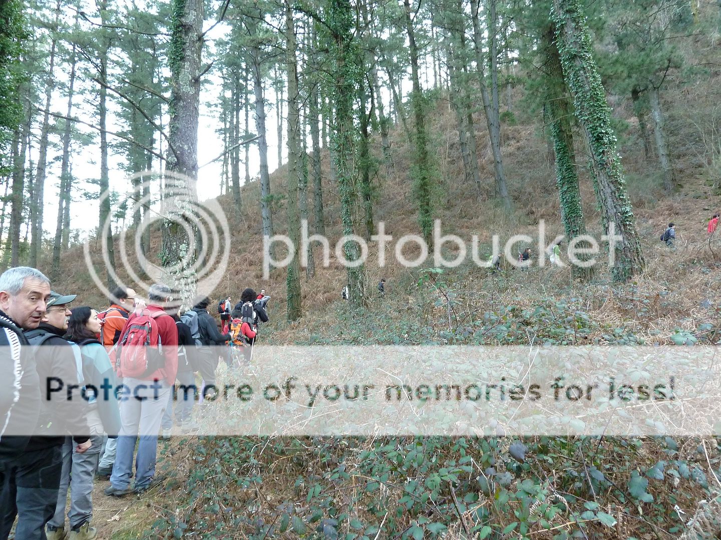 Photo Sharing and Video Hosting at Photobucket