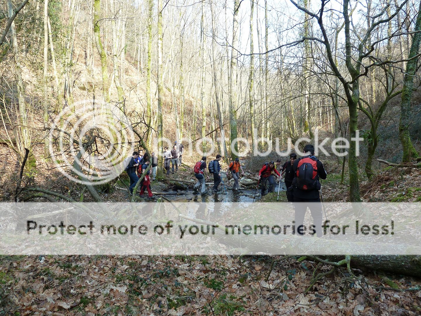 Photo Sharing and Video Hosting at Photobucket