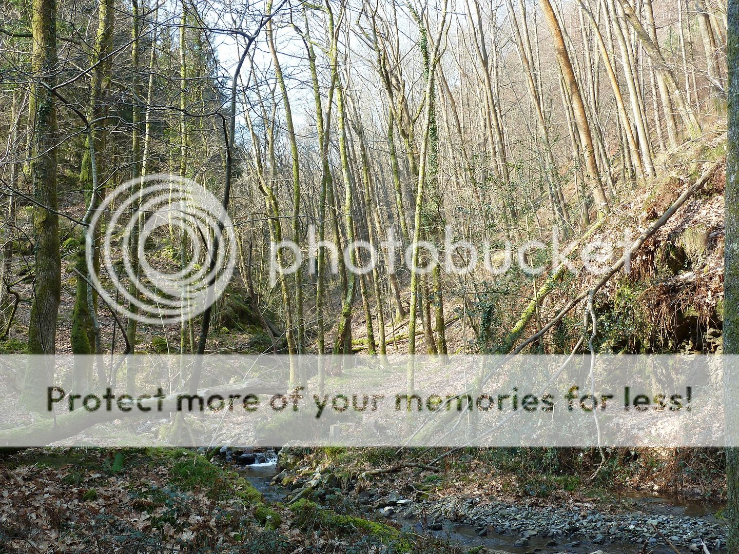 Photo Sharing and Video Hosting at Photobucket
