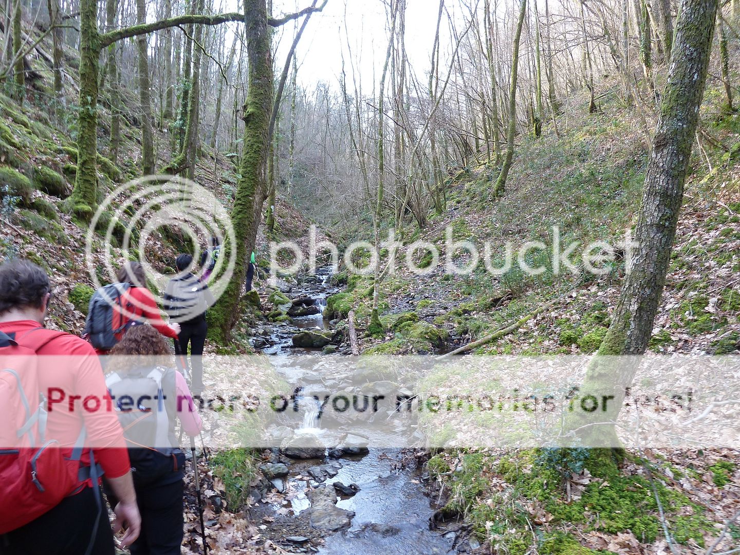 Photo Sharing and Video Hosting at Photobucket