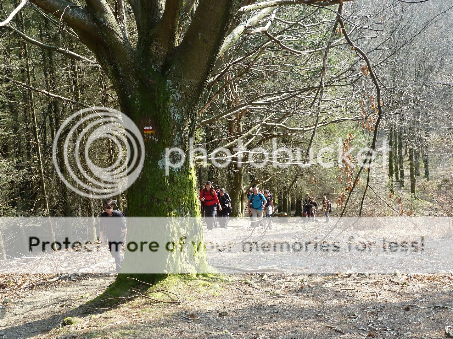 Photo Sharing and Video Hosting at Photobucket