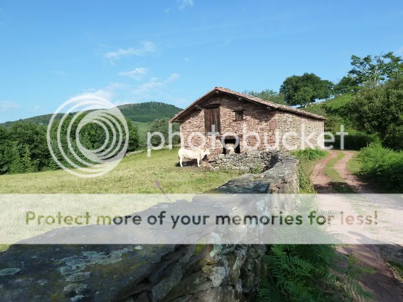 Photo Sharing and otobucVideo Hosting at Phket