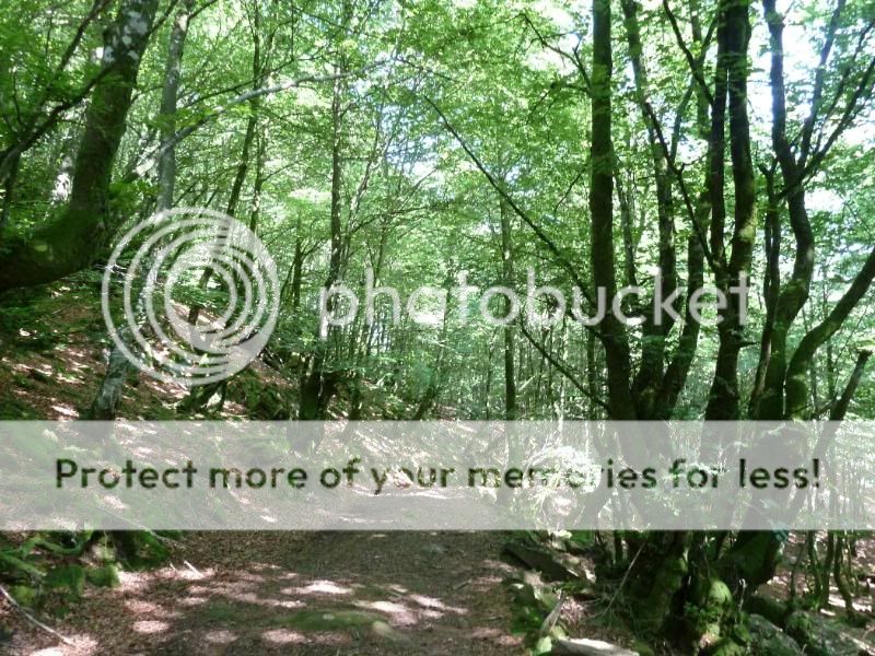 Photo Sharing and otobucVideo Hosting at Phket
