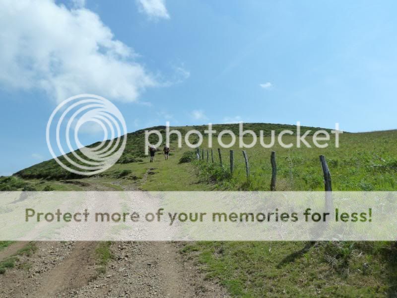Photo Sharing and otobucVideo Hosting at Phket
