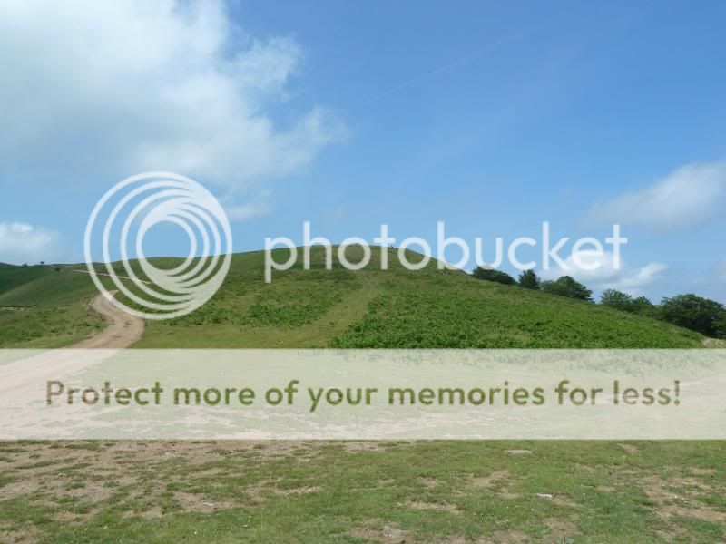 Photo Sharing and otobucVideo Hosting at Phket