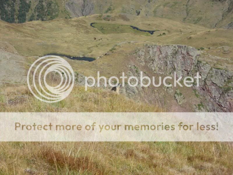 Photo Sharing and Video Hosting at Photobucket