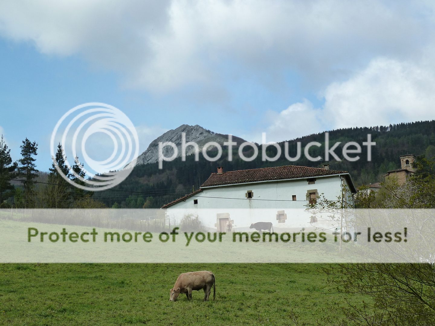 Photo Sharing and Video Hosting at Photobucket