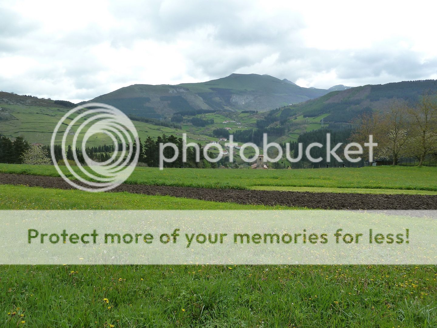 Photo Sharing and Video Hosting at Photobucket