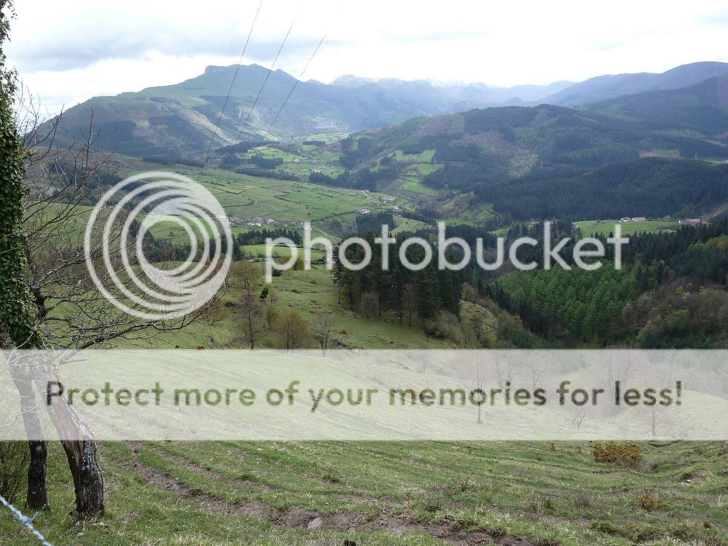 Photo Sharing and Video Hosting at Photobucket