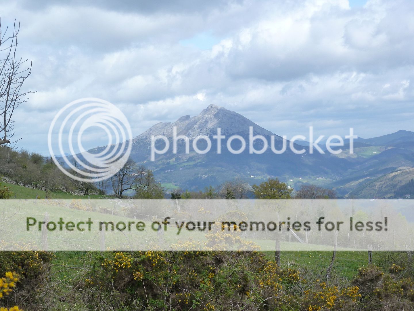 Photo Sharing and Video Hosting at Photobucket
