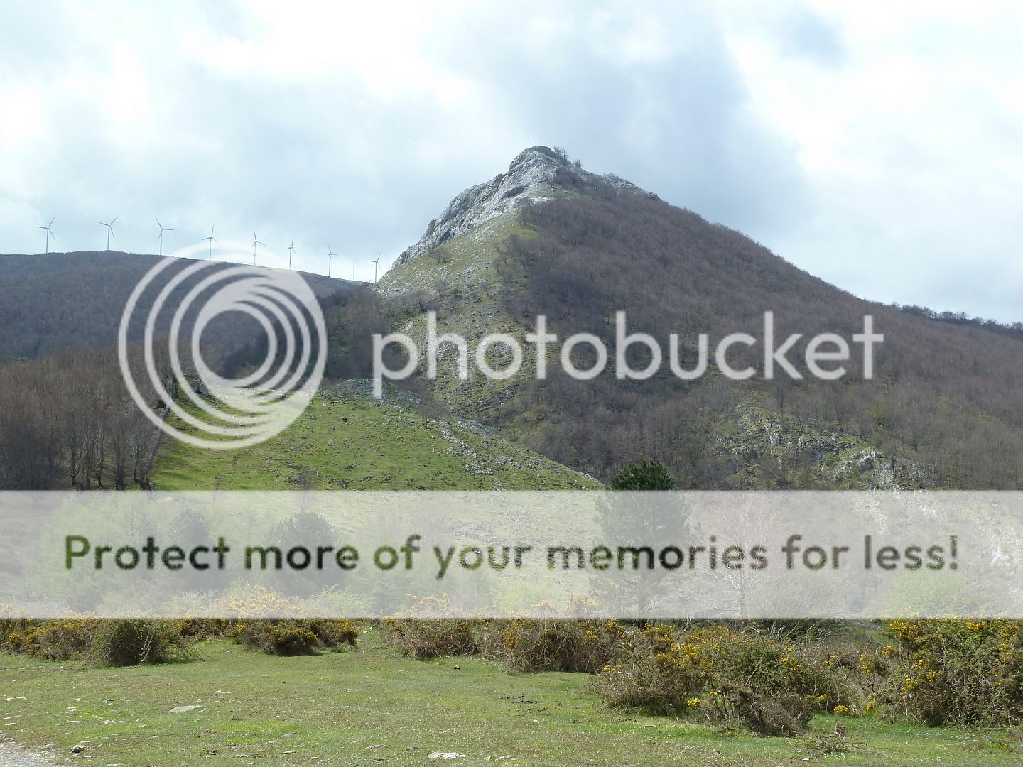 Photo Sharing and Video Hosting at Photobucket