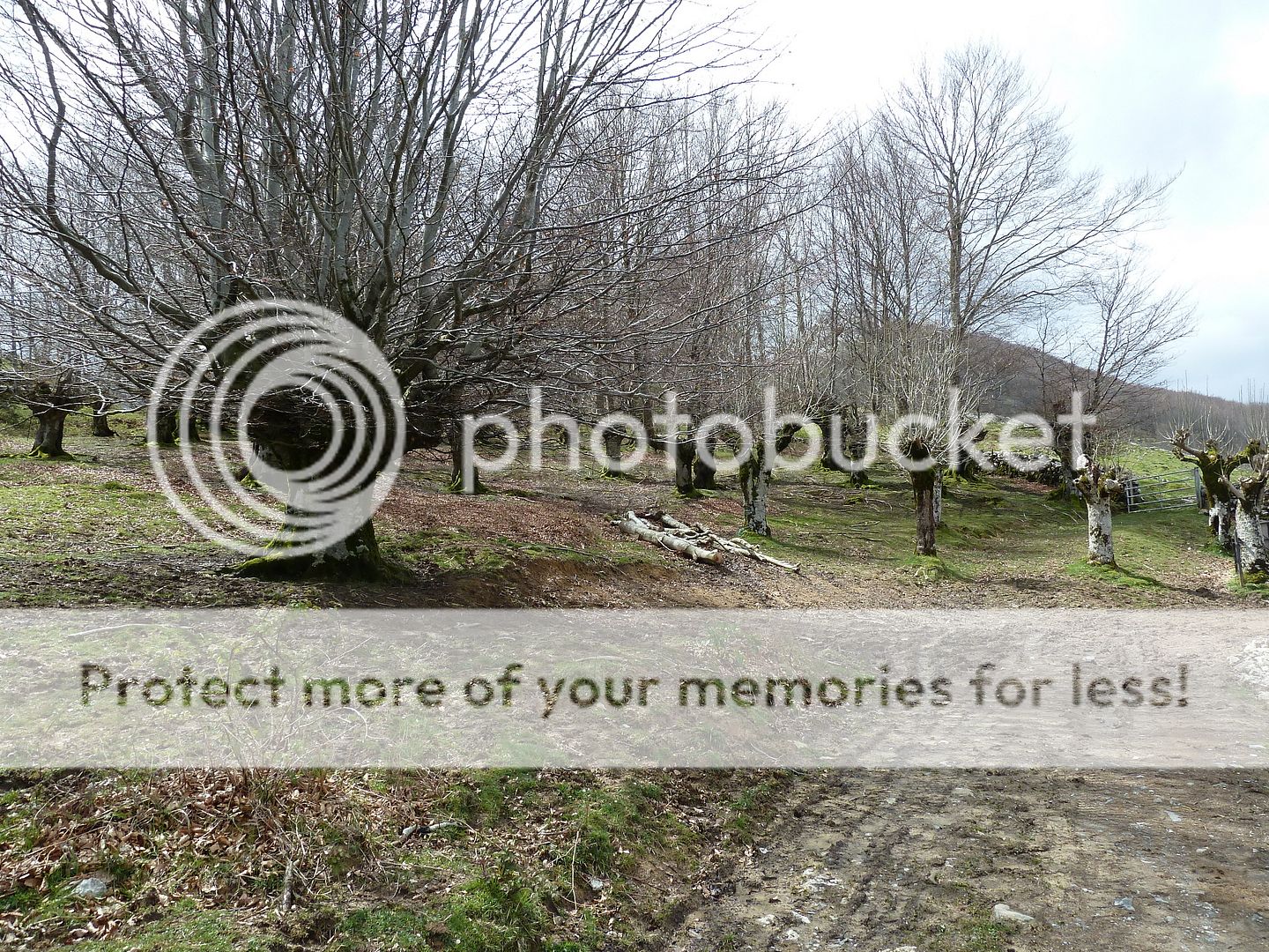 Photo Sharing and Video Hosting at Photobucket