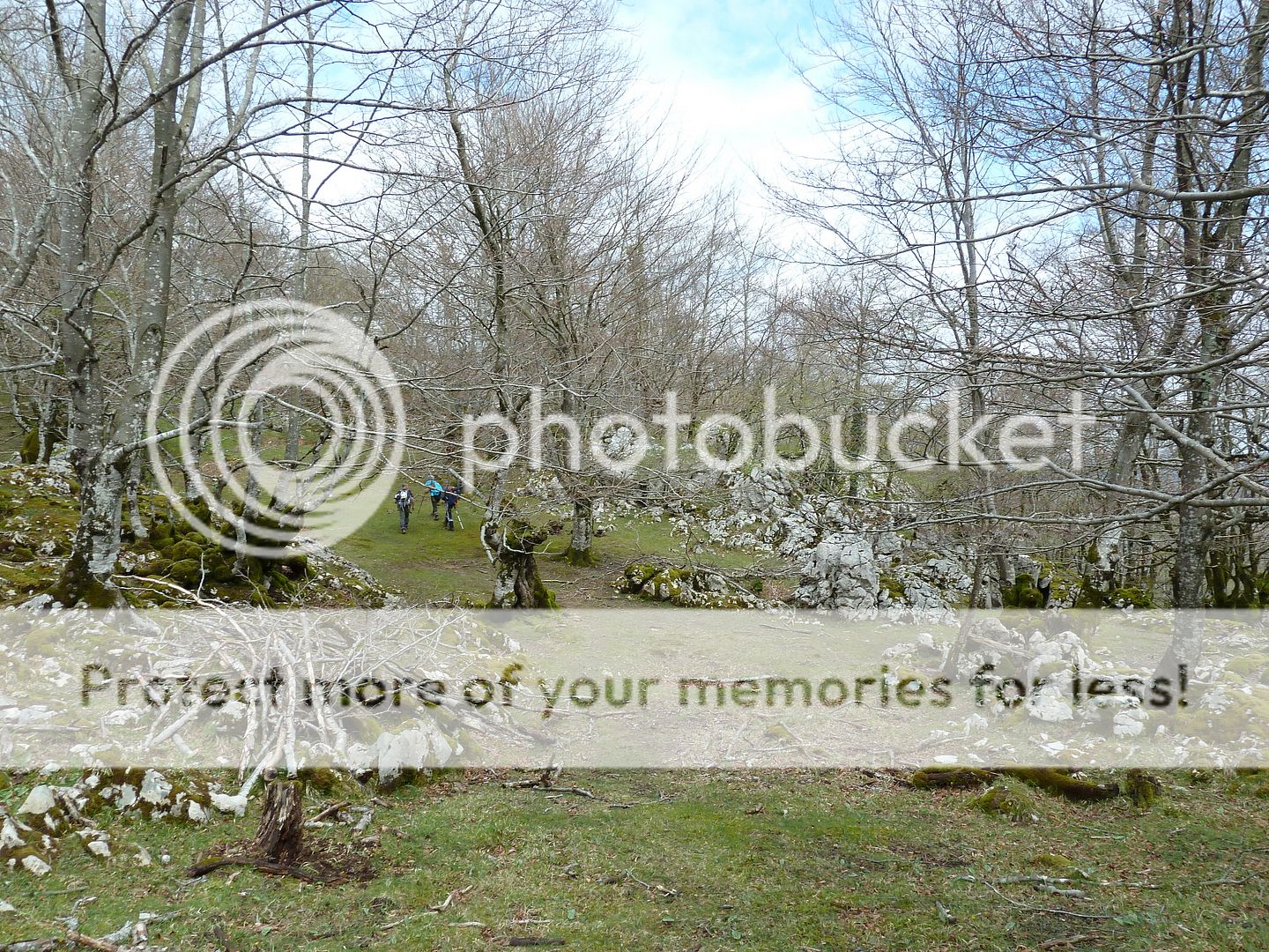 Photo Sharing and Video Hosting at Photobucket