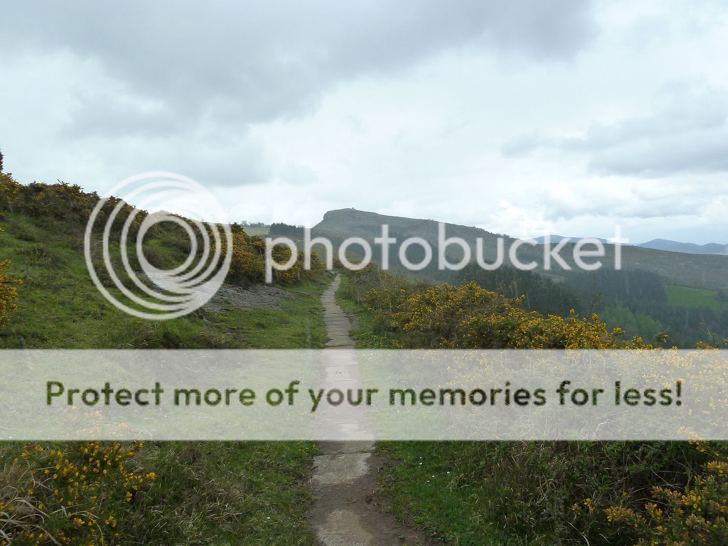 Photo Sharing and Video Hosting at Photobucket