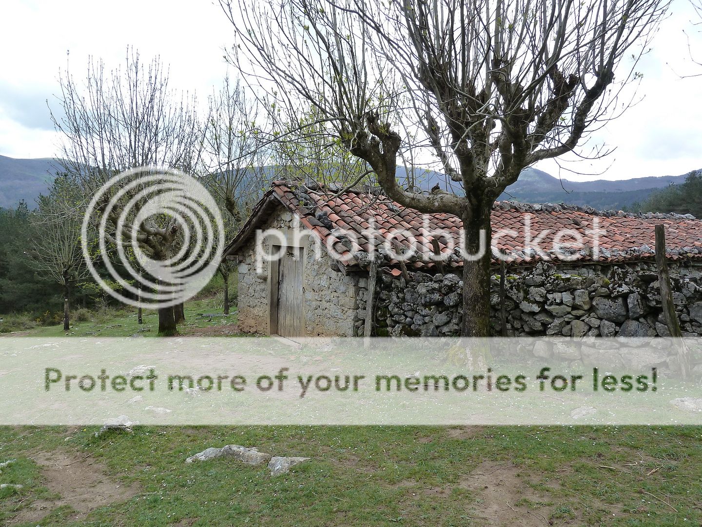 Photo Sharing and Video Hosting at Photobucket