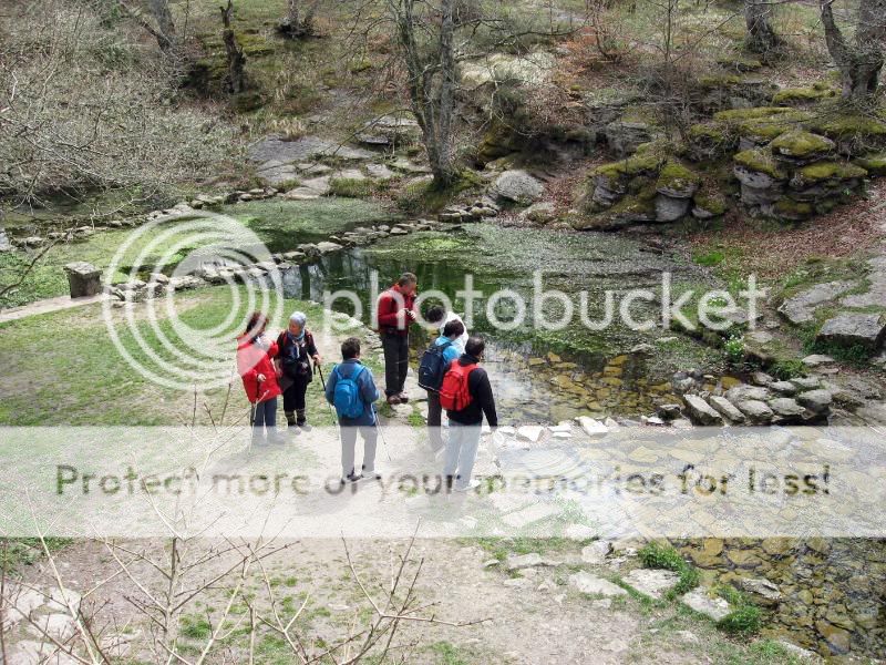 Photo Sharing and Video Hosting at Photobucket