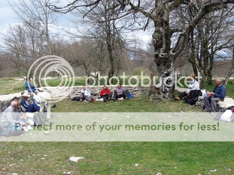 Photo Sharing and Video Hosting at Photobucket