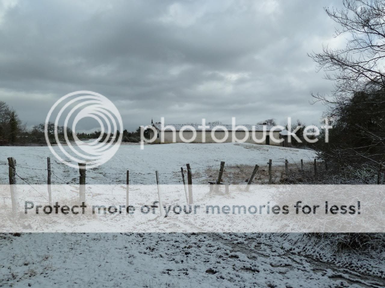 Photo Sharing and Video Hosting at Photobucket
