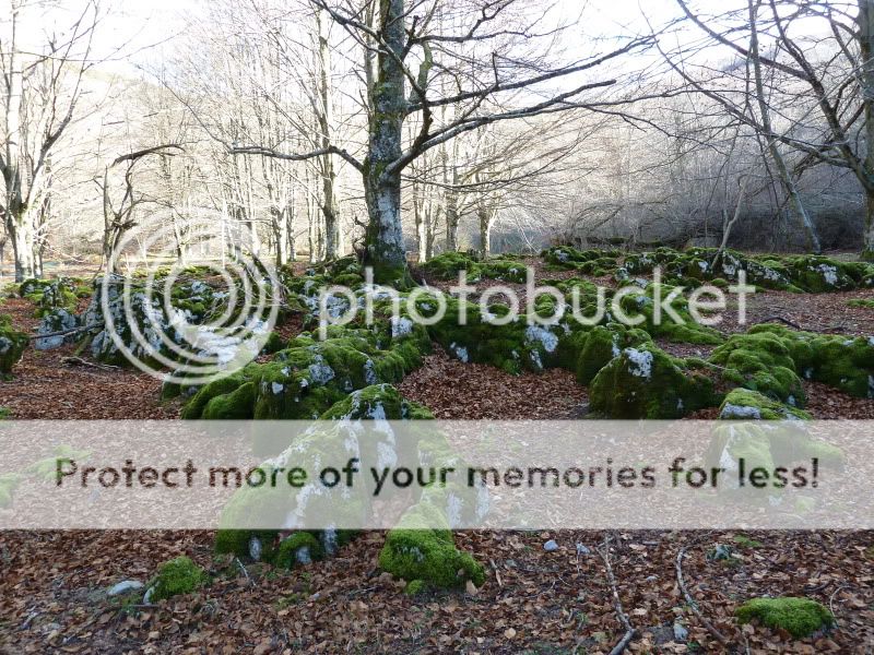 Photo Sharing and Video Hosting at Photobucket