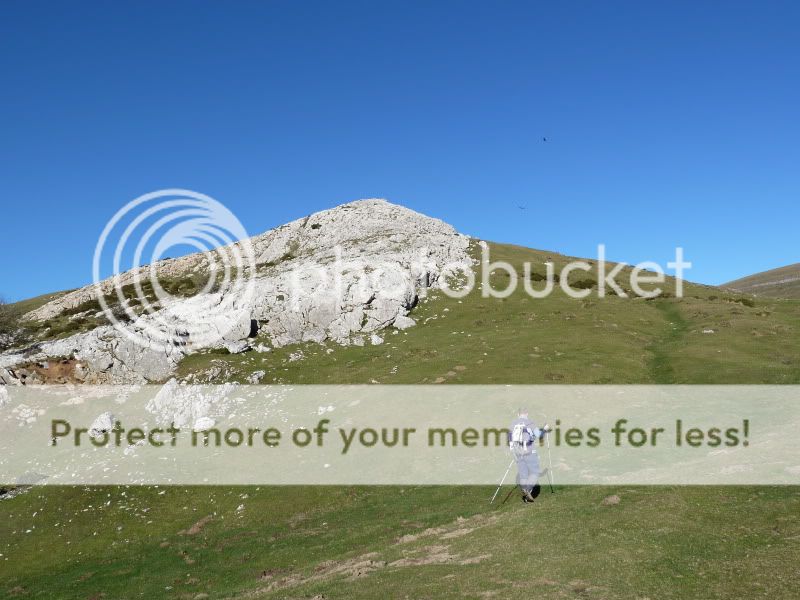 Photo Sharing and Video Hosting at Photobucket