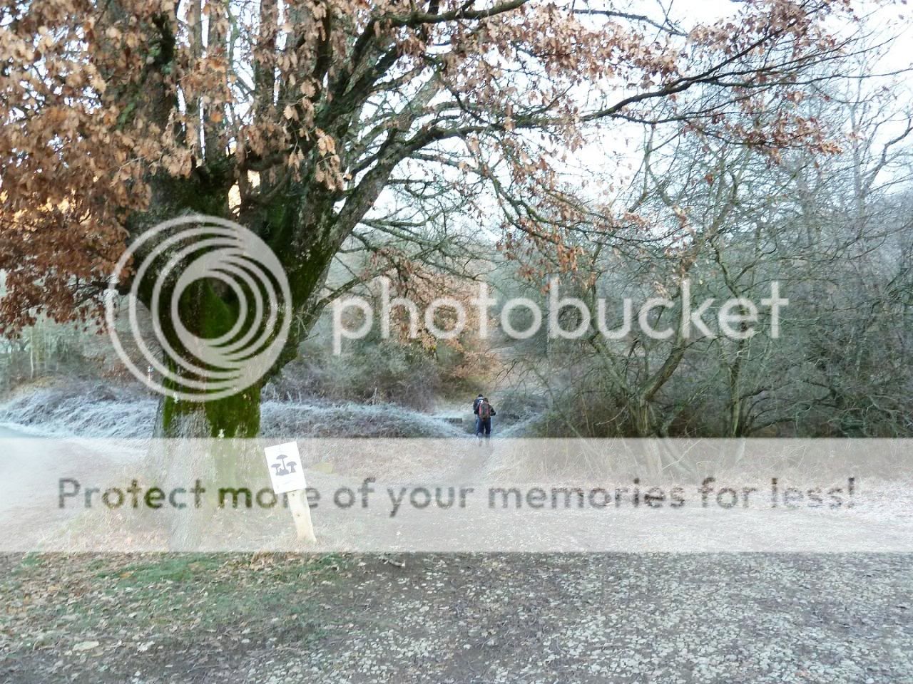 Photo Sharing and otobucVideo Hosting at Phket