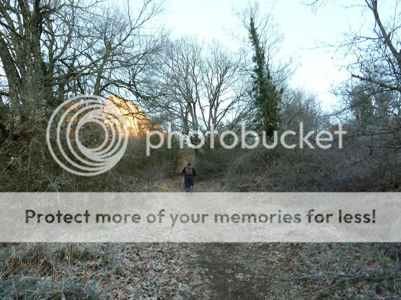 Photo Sharing and otobucVideo Hosting at Phket