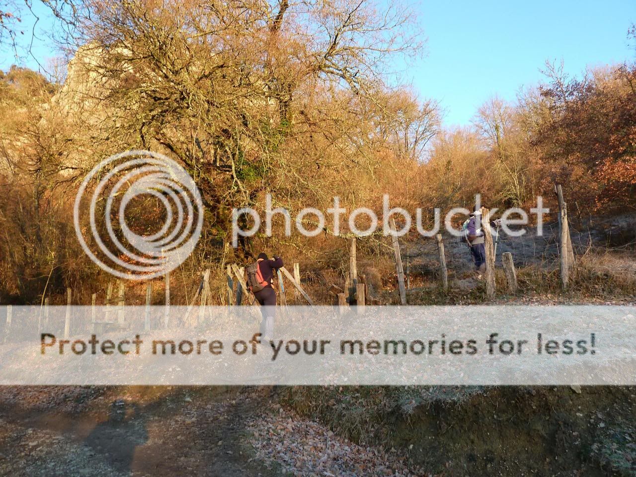 Photo Sharing and otobucVideo Hosting at Phket