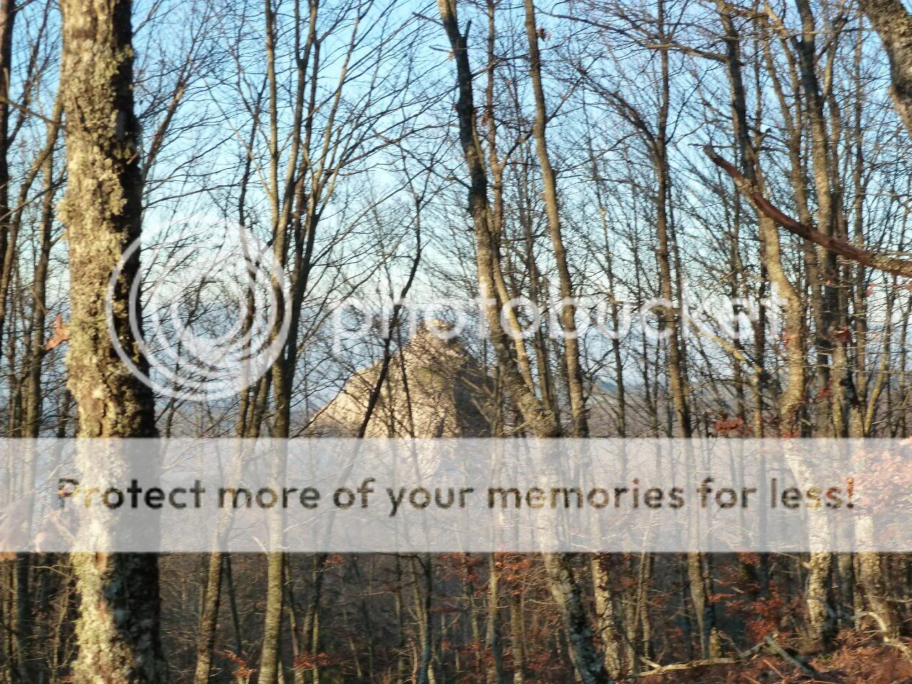 Photo Sharing and otobucVideo Hosting at Phket