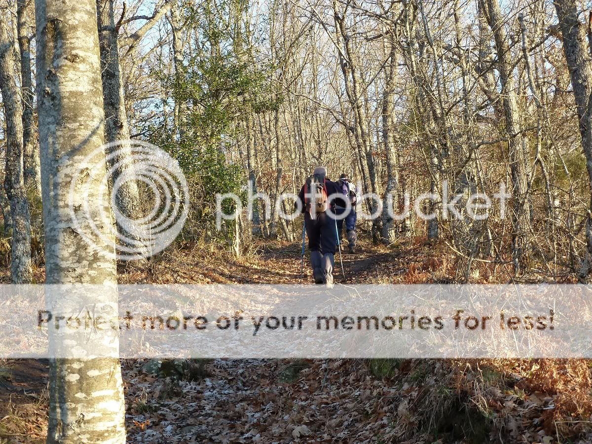 Photo Sharing and otobucVideo Hosting at Phket