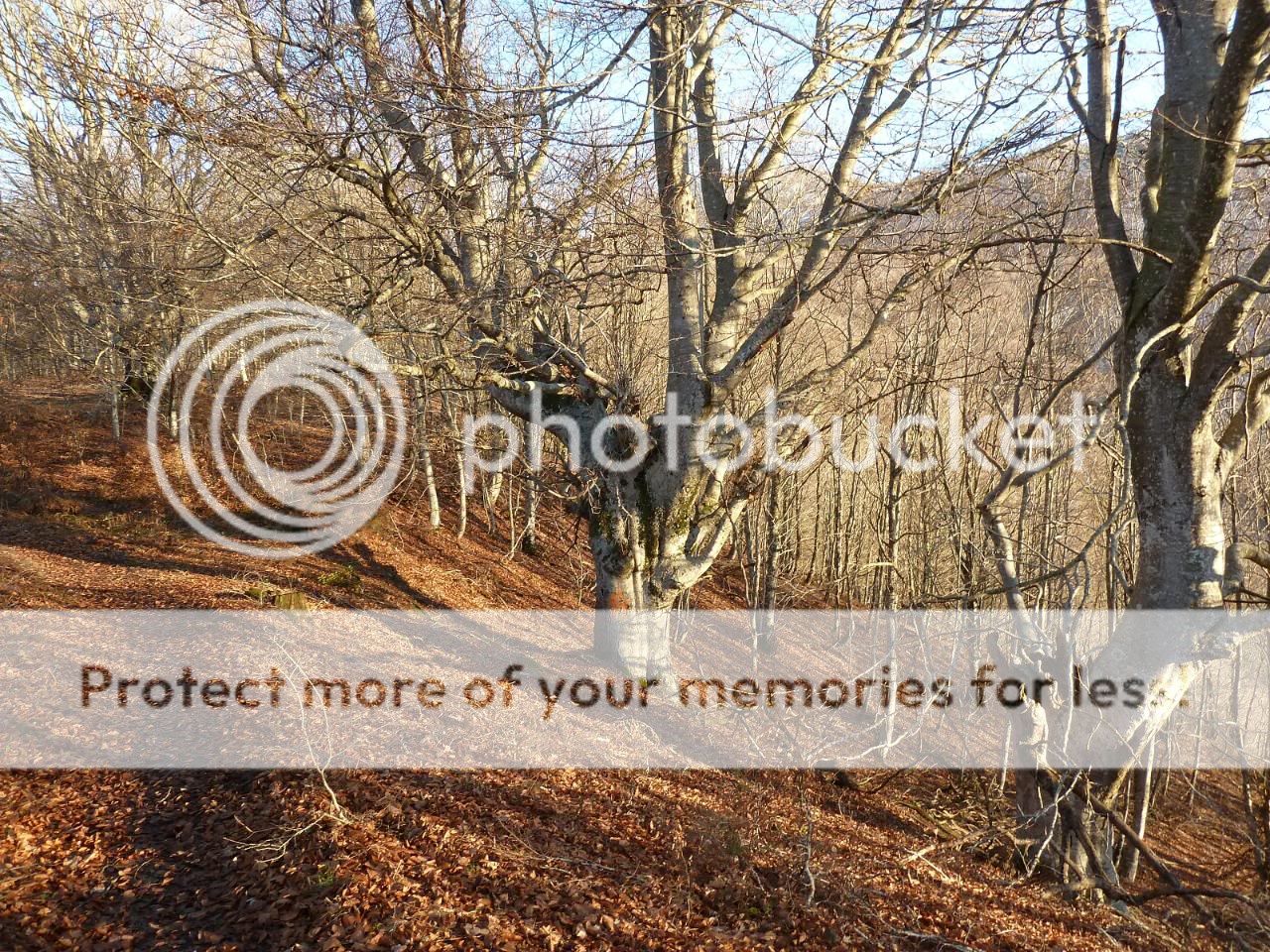 Photo Sharing and otobucVideo Hosting at Phket