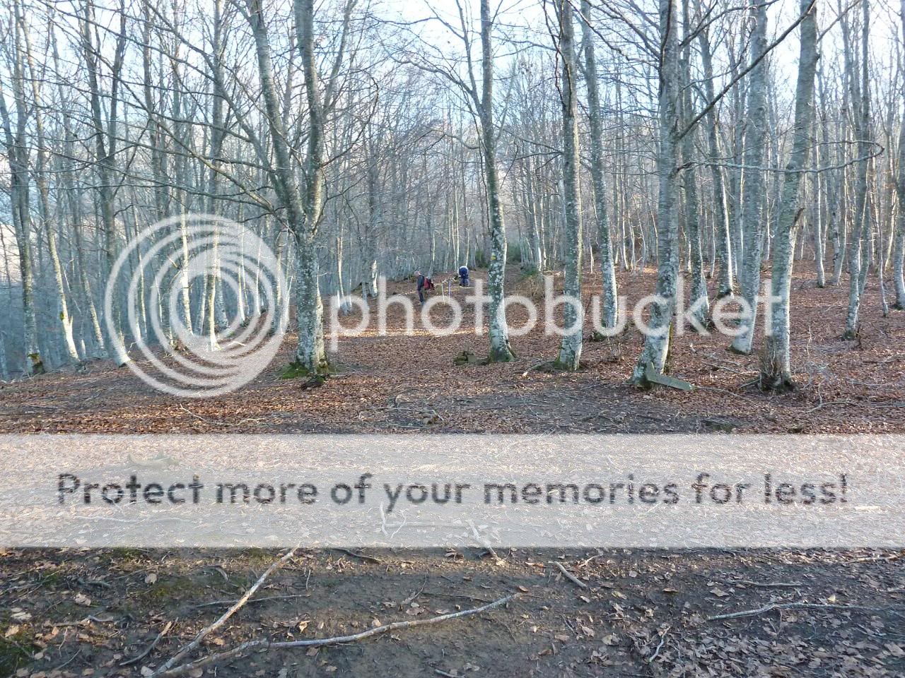 Photo Sharing and otobucVideo Hosting at Phket