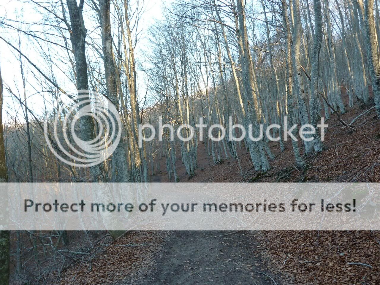 Photo Sharing and otobucVideo Hosting at Phket