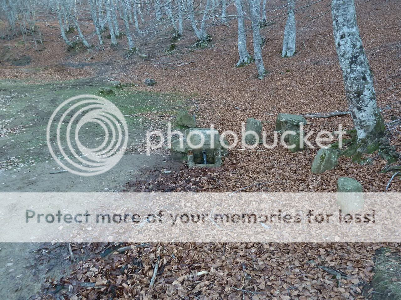Photo Sharing and otobucVideo Hosting at Phket