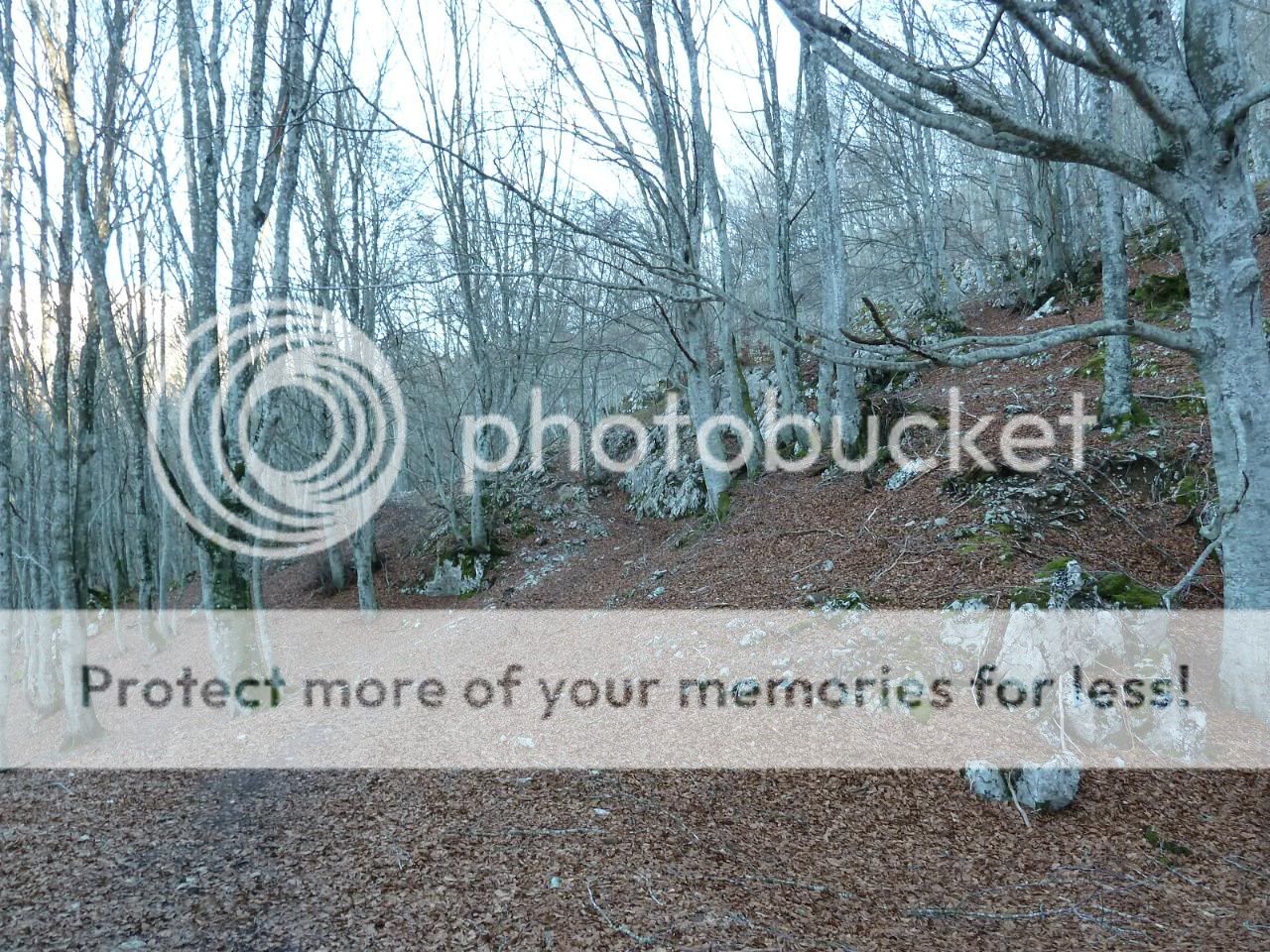 Photo Sharing and otobucVideo Hosting at Phket