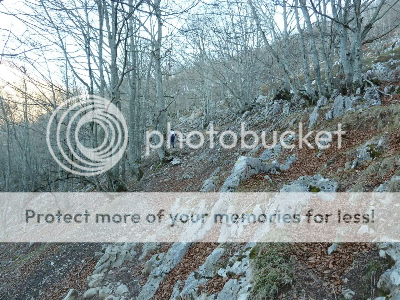 Photo Sharing and otobucVideo Hosting at Phket