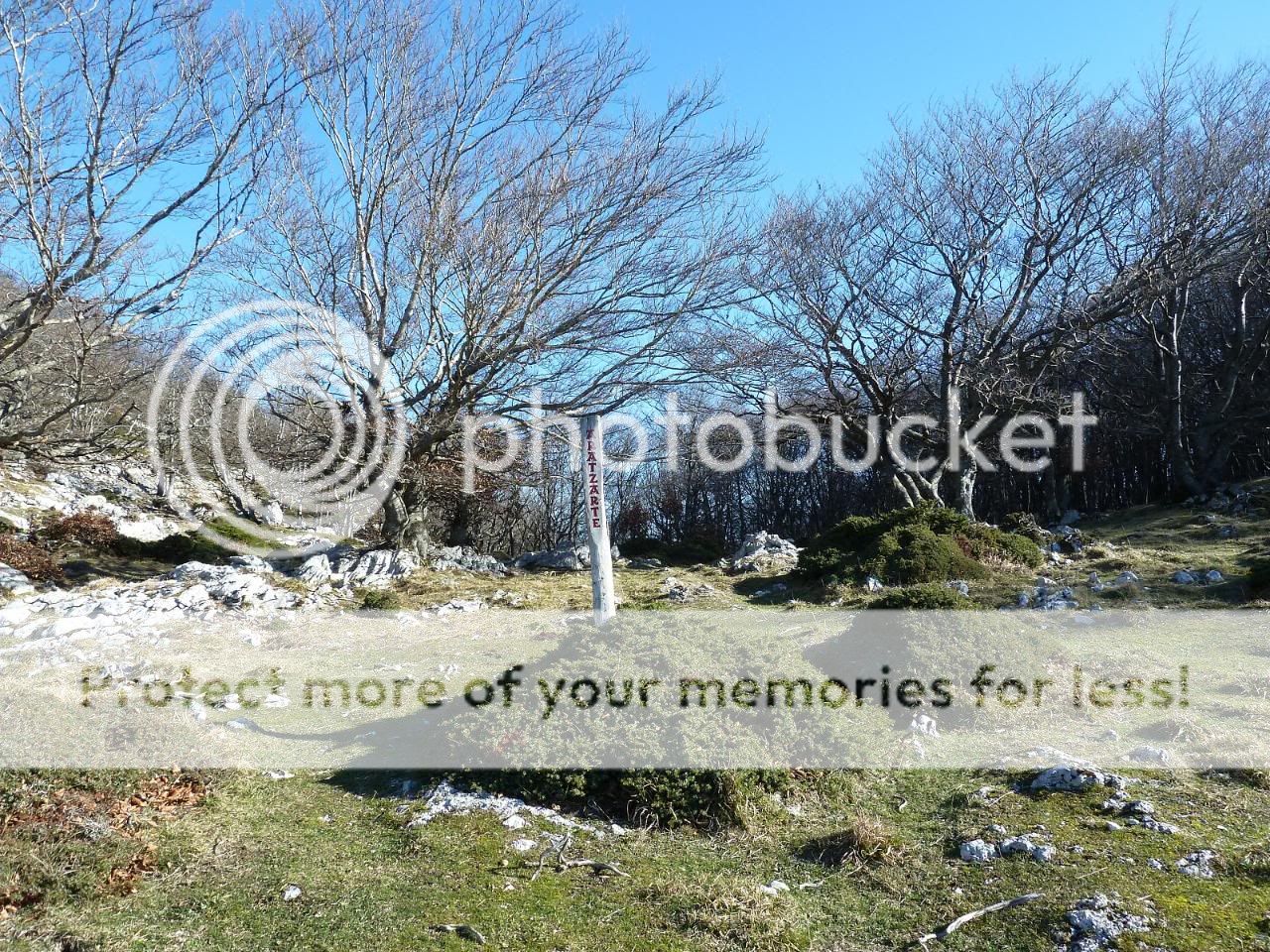 Photo Sharing and otobucVideo Hosting at Phket
