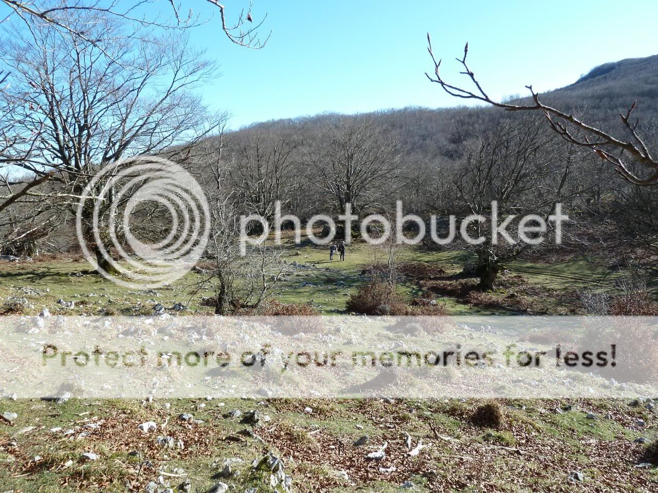 Photo Sharing and otobucVideo Hosting at Phket