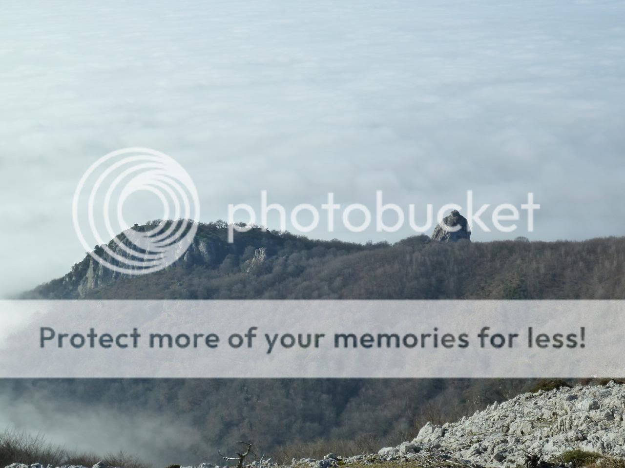 Photo Sharing and otobucVideo Hosting at Phket