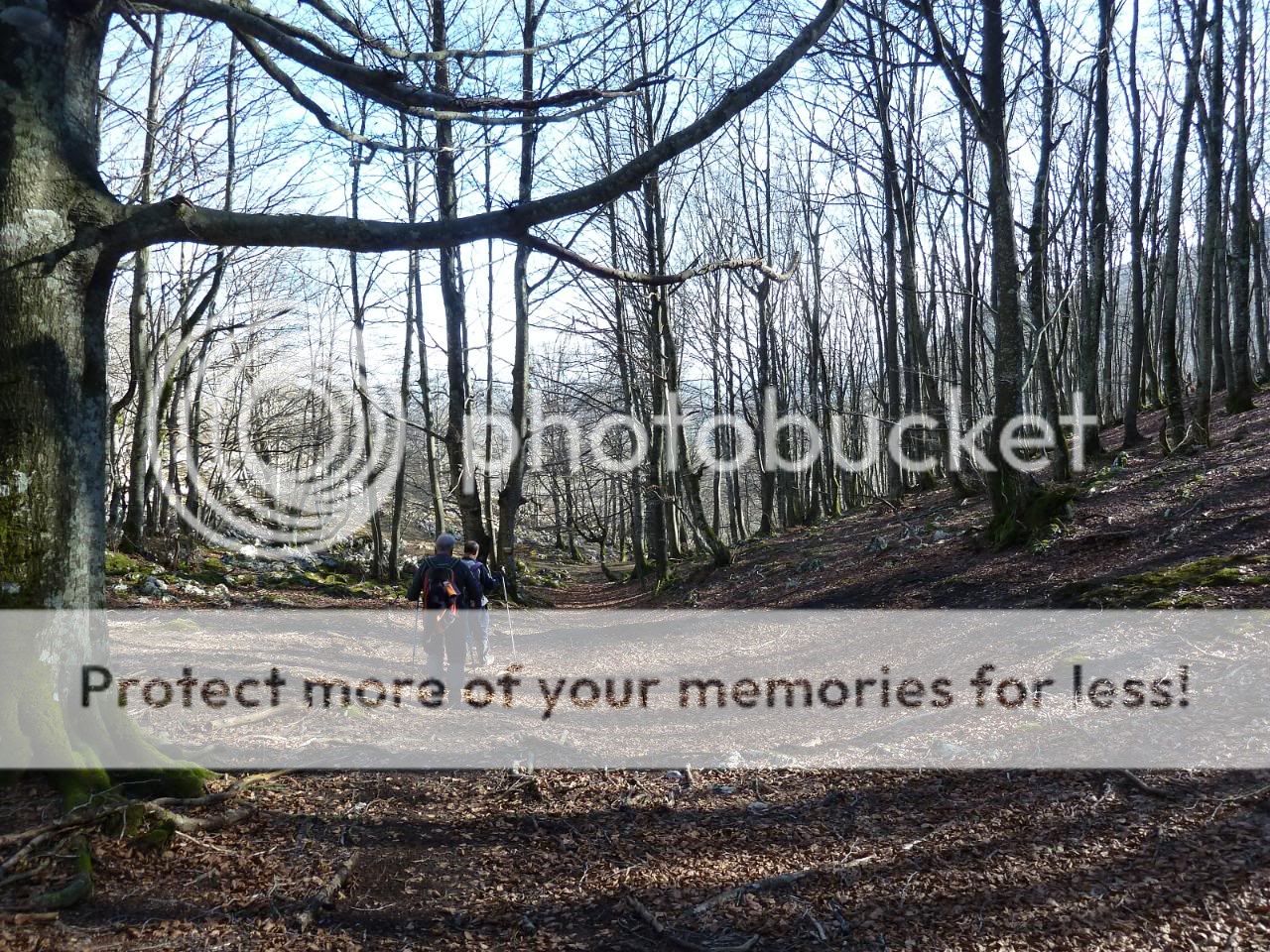 Photo Sharing and otobucVideo Hosting at Phket