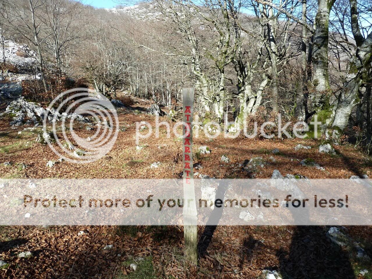 Photo Sharing and otobucVideo Hosting at Phket